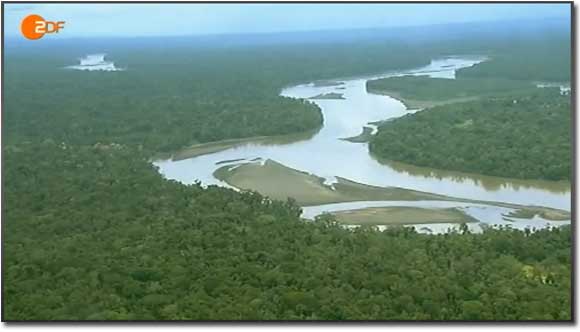 Amazonica im ZDF