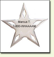 Throwing Star Business Card