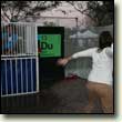 Dunk the GoogleGuy